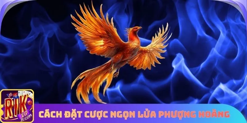 Cách đặt cược Ngọn Lửa Phượng Hoàng
