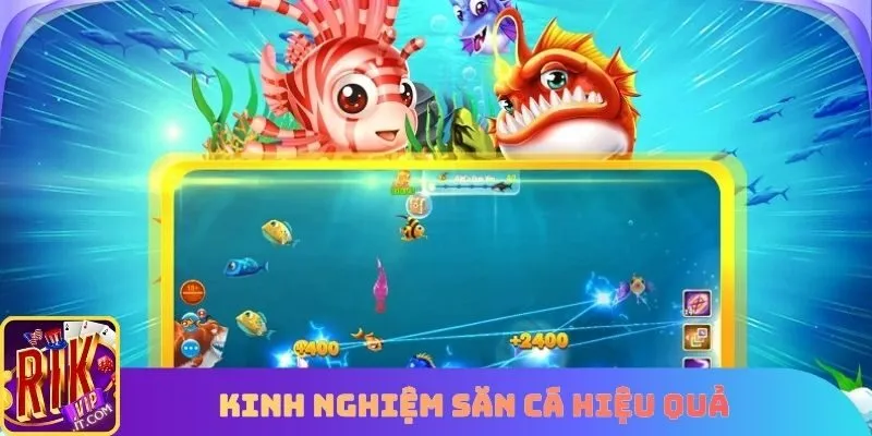 Kinh nghiệm săn cá hiệu quả