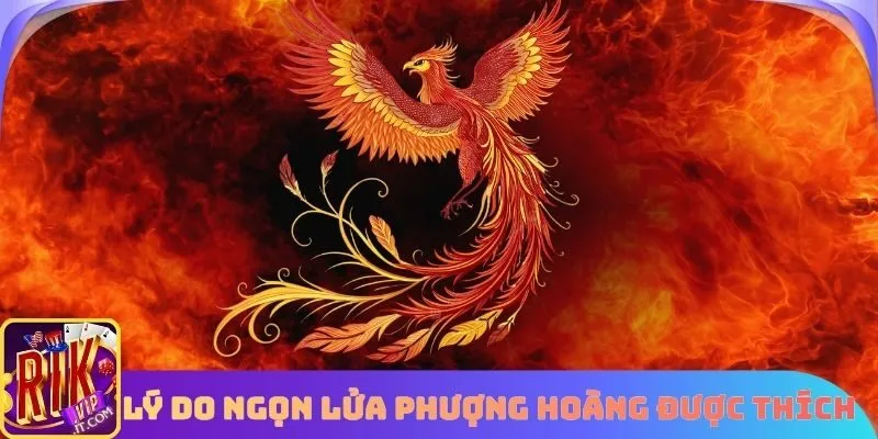 Lý do Ngọn Lửa Phượng Hoàng được thích